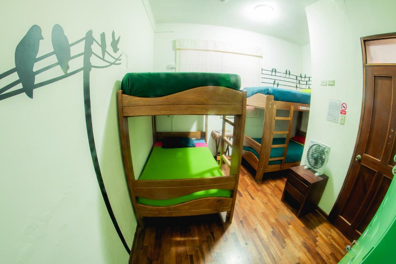 Auberge de jeunesse Dragonfly Miraflores Lima