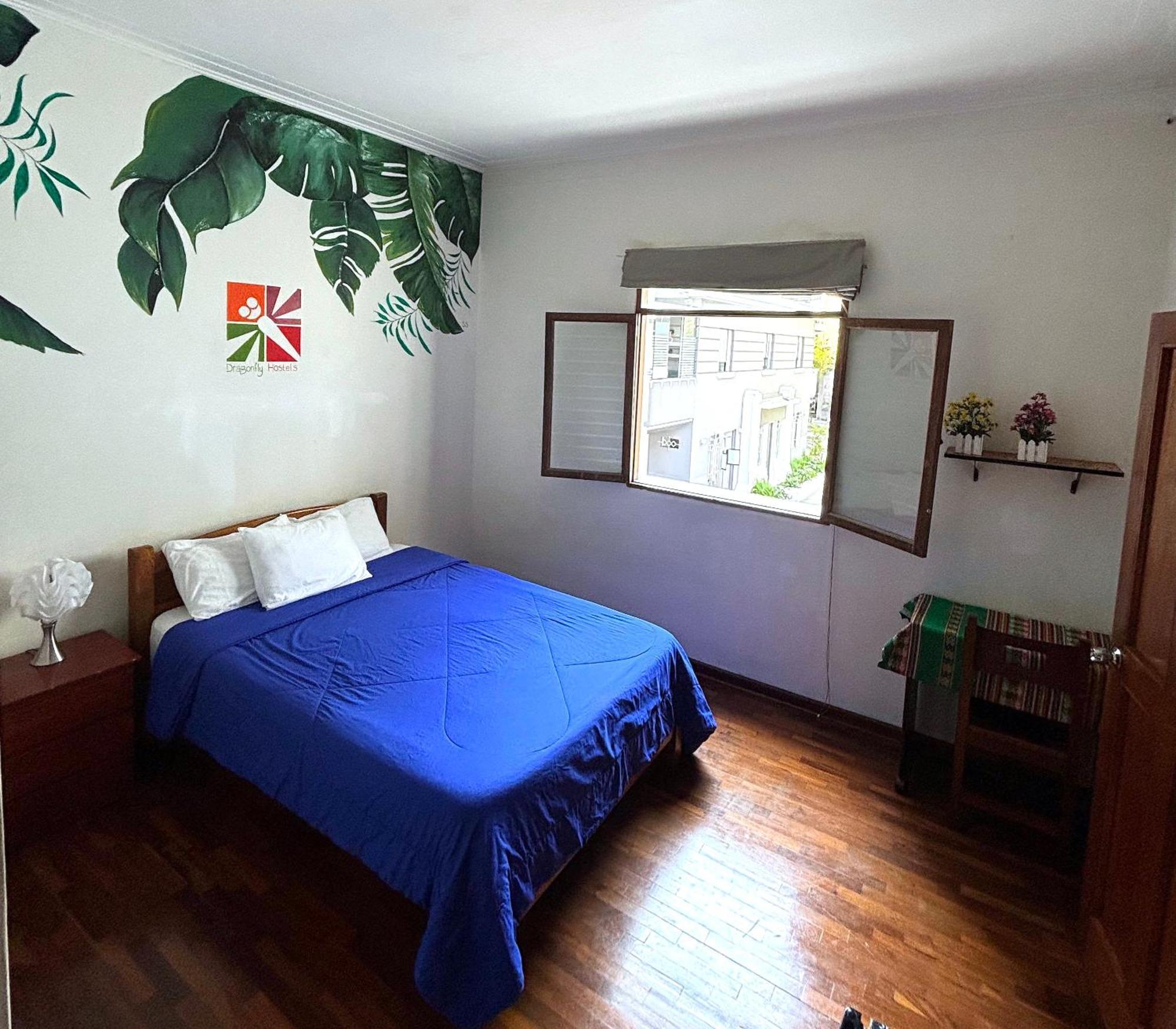 Auberge de jeunesse Dragonfly Miraflores